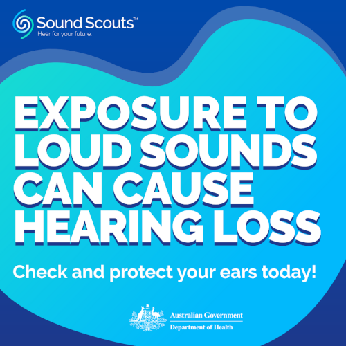 sound scouts image