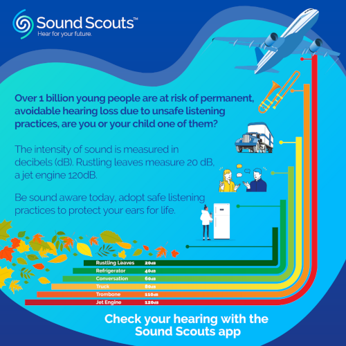 sound scouts image