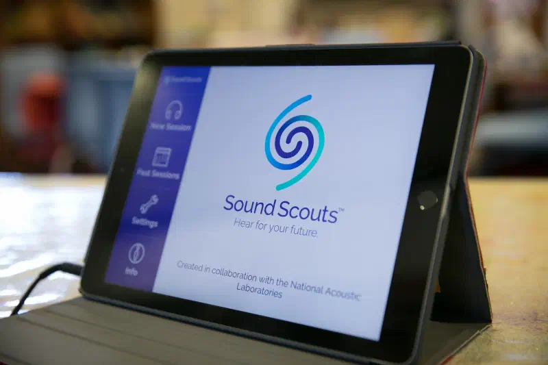 Sound Scouts Sound Scouts
